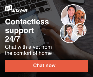 Ask a Veterinarian